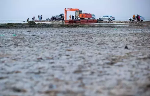 أشخاص يسبحون في المياه الضحلة لبحيرة الحبانية بمحافظة الأنبار العراقية يوم 11 آب/أغسطس. وقد انخفض منسوب المياه في الحبانية بعشرات الأمتار بعد 4 سنوات متتالية من الجفاف الذي عصف بأجزاء من البلاد. [مرتضى رضا/وكالة الصحافة الفرنسية]