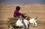 
A woman rides a donkey carrying wood from trees cut down at the Mount Abdulaziz nature reserve near the town of al-Hasakeh in northeastern Syria on November 19. [Delil Souleiman/AFP]        