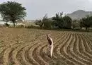 
Farmer Adel Farea works on his farm in Bani Matar district in Sanaa province. [Yazan Abdul Aziz/Al-Fassel]        