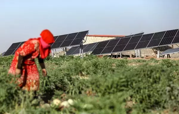 A woman views plants in a watermelon patch employing solar panels used to power field irrigation at a farm in the village of al-Haddadiya, about 44km south of al-Hasakeh in northeastern Syria, on September 24. [Delil Souleiman/AFP]