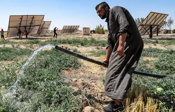 Syrian farmer Mohamed Ali al-Hussein, 22, waters a watermelon patch with a hose near solar panels used to power field irrigation at a farm on the outskirts of Syria's northeastern city of al-Hasakeh, on September 24. [Delil Souleiman/AFP]