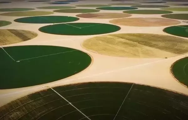 These fields have been newly established for the cultivation of wheat in Egypt to meet the shortage and reduce the import bill. [Screenshot from Information and Decision Support Center video posted March 3, 2022]