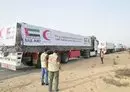 
An Emirati humanitarian aid convoy set off November 19 from al-Arish, Egypt to the Rafah border crossing in preparation for its entry into Gaza. [Emirati news agency WAM]        