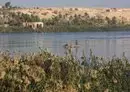 
A picture taken November 13, 2018, shows a fishing boat crossing the Euphrates River in the Iraqi border town of al-Qaim, opposite Albu Kamal in the Syrian province of Deir Ezzor. [Ahmad al-Rubaye/AFP]        