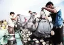 
Yemeni fishermen have seen their livelihoods disrupted by the Houthis' Red Sea attacks on shipping. [Fouad al-Ahdal]        