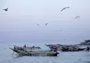 
More than 100 Yemeni fishermen have died in sea mine explosions in the past four months. Here, fishermen's boats are seen off the coast in al-Khokha district of Yemen's al-Hodeidah province on January 16. [Khaled Ziad/AFP]        