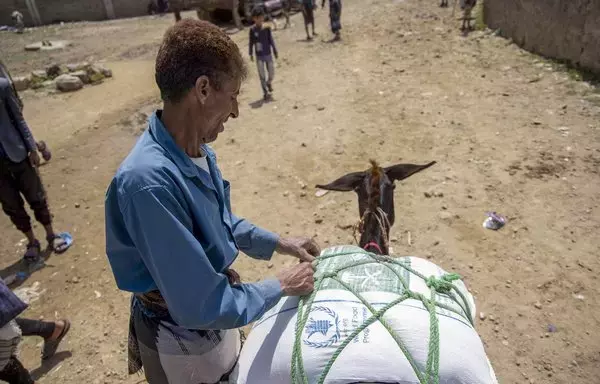 Displaced Yemenis receive humanitarian aid from the UN's World Food Program in the city of Taez on September 11. [Ahmad al-Basha/AFP]