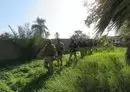 
Iraqi soldiers pursue ISIS remnants in the agricultural areas between Diyala, Kirkuk and Salaheddine provinces in January. [Iraqi Security Media Cell]        