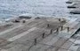 
US Army soldiers handle line to secure the floating pier to the side of the MV Roy P. Benavidez off the coast of Gaza on May 1. Aid began to flow into Gaza via the temporary pier on May 17. [US Navy]        