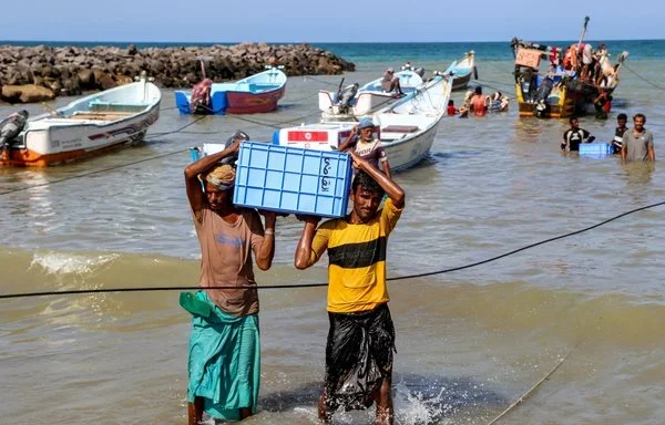 Fishermen unload their catch upon reaching shore in Yemen's al-Khokha district, south of al-Hodeidah on April 21. [Khaled Ziad/AFP]