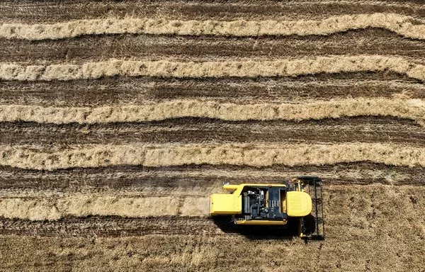 A harvester operates in a wheat field in Iraq's Karbala on May 14. [Ahmad al-Rubaye/AFP]