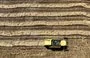 
A harvester operates in a wheat field in Iraq's Karbala on May 14. [Ahmad al-Rubaye/AFP]        