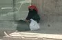 
A woman sits on a sidewalk in Houthi-controlled Sanaa. [Yazan Abdul Aziz/Al-Fassel]        