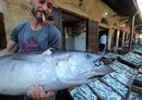 
A vendor sells fish at a market in the Syrian city of Baniyas on July 25, 2022. The city's port and the area around it have become a closed military zone that not even fishermen may enter, local sources say. [Louai Beshara/AFP]        