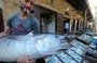 
A vendor sells fish at a market in the Syrian city of Baniyas on July 25, 2022. The city's port and the area around it have become a closed military zone that not even fishermen may enter, local sources say. [Louai Beshara/AFP]        