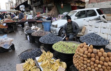 Syria’s olive harvest breaks records, bringing hope and prosperity